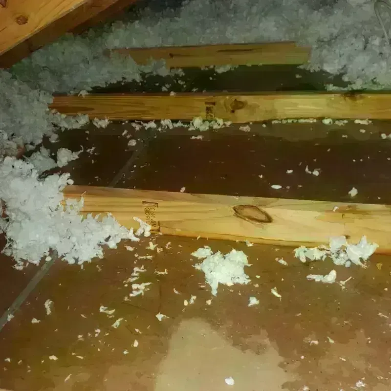 Attic Water Damage in Breaux Bridge, LA